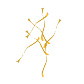 Saffron threads icon